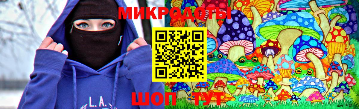 Галлюциногенные грибы мухоморы Чернушка