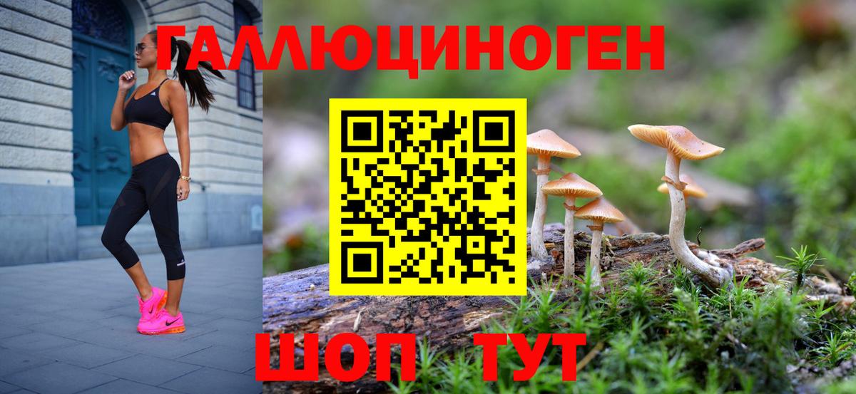 Галлюциногенные грибы Psilocybine cubensis  Вход с VPN  Чернушка 